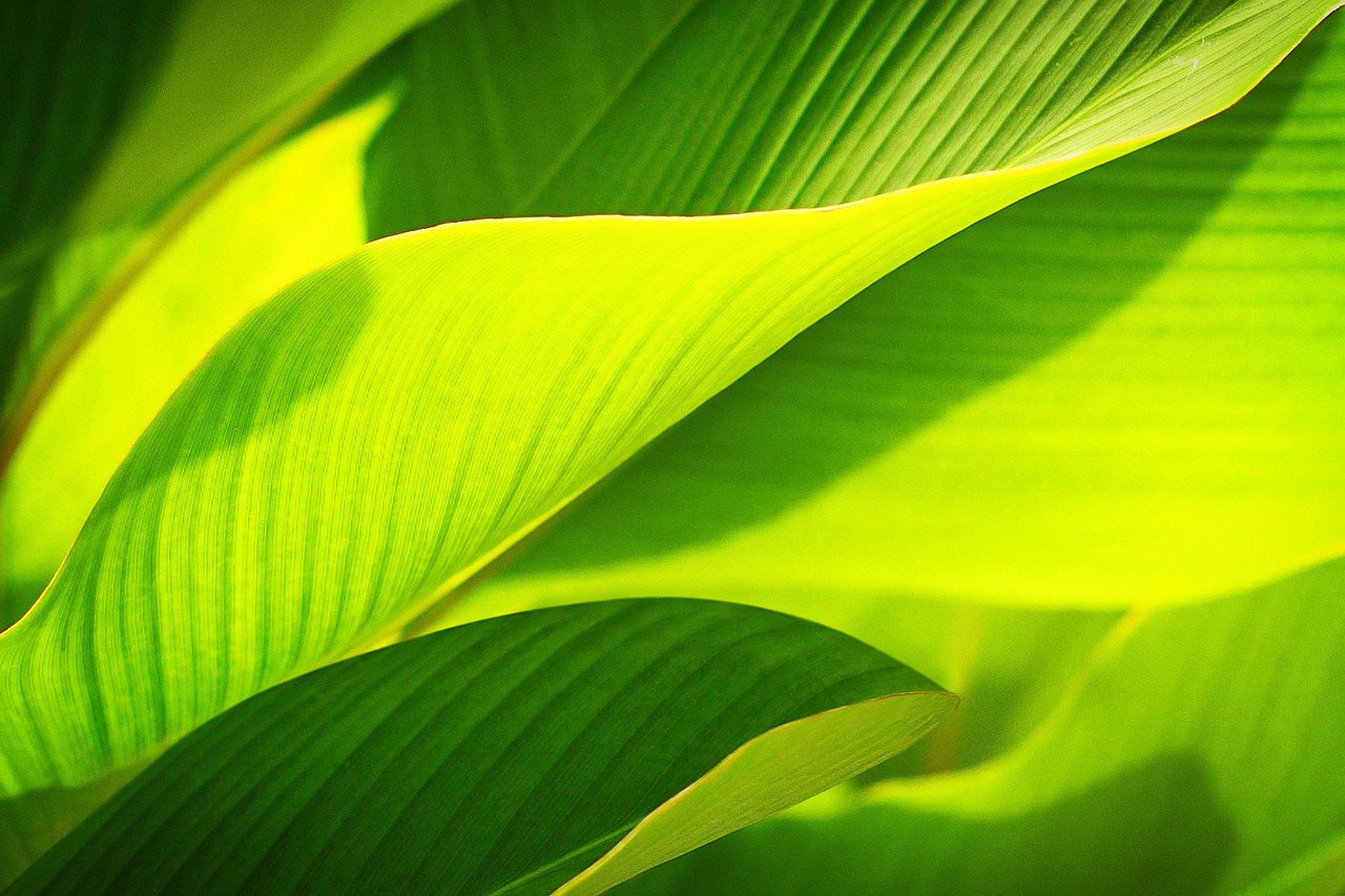 Indonesia's ESDM Ministry Promotes Optimization of New Renewable Energy Utilization